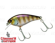 Blue Gill