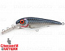 Herring (EG-049LL#C501F)