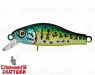 Venom Perch (EG-125E-SP#945V)