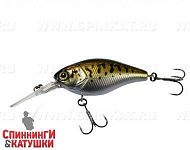 Bass Coach