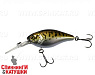 Bass Coach