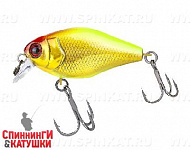 Gold & chartreuse