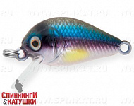 Rainbow Ghost Wakasagi (EG-182-SP#A210-713-RP)