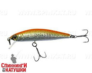Hl Orange Back