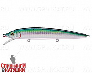 Pacific Sardine (EG-033F#692-713-RP)