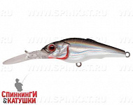 Black Back Silver (EG-081L#A010)