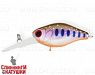Arctic Char (EG-165L#A142-264)