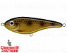 Spotted Bullhead (EG-049#JV009G)