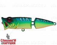 Pearl Mat Tiger (SH-002CJ#A223S-RP)