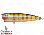 Broun Gill Transparent (EG-004#A68G)