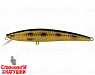 Spotted Bullhead (JL-092-SP#JV009F)