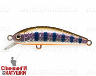 Arctic Char (JS-340#A142-264)