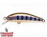 Arctic Char (JS-392#A142-264)