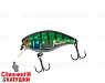 Hl Blue Gill