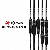 Спиннинг Xesta Black Star 2025