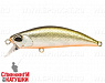 #MNI4047 Tennessee Shad