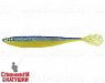 Zander Queen (SPG-16#008)