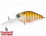 Broun Gill Transparent (EG-165L#A68G)
