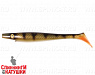 Natual Perch OB (SP-172A#140)