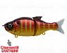 #10 Flare Gill