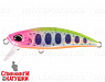 #ANA4076 Pink Clown Yamame