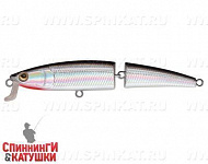 Black Back Silver (EG-137J#A010)