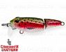 Trout Silver (EG-073J#71)
