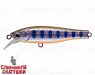 Arctic Char (JS-238#A142-264)