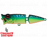 Pearl Mat Tiger (SH-002CJ#A223S-RP)