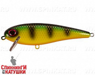 Orange Belly Perch (EG-205#JV003)