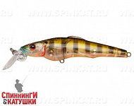 Broun Gill Transparent (EG-076A-SP#A68G)