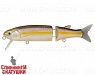 White Fry (EG-157A-SP#A262)