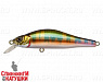 River Radical (EG-125D-SP#A203-264)