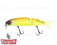 Tropical mat tiger