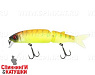 Tropical mat tiger