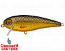 Golden Roach (EG-205B#A256-3D)