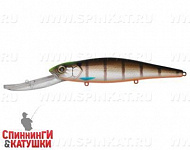 Minke Whale (EG-054F#201-264)
