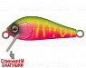 Watermelon Mat Tiger (EG-183S#A230S)