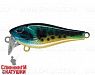 Venom Perch (EG-239#945V)