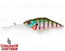 Bluegill (EG-081B#630V)