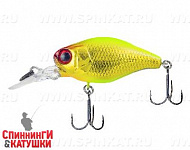 gold & chartreuse