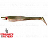Arkansas Shiner (SP-172A#104)