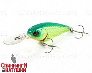 Is Lime Chartreuse
