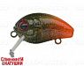 Hot Tail Motoroil UV (EG-036F#Z411-3)