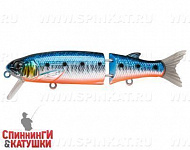 Blue Back Silver OB Fluo (EG-157A-SP#A234-SBO-LU)