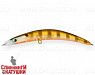 Broun Gill Transparent (EG-173B#A68G)