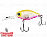 Clear chartreuse tiger