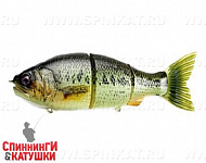 #GAN9 Real Puri Bass