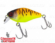 Tropical mat tiger