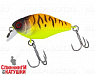 Tropical mat tiger